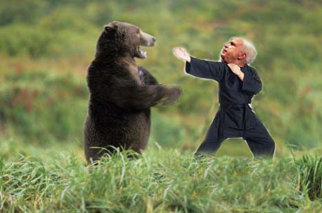 File:Mccain-vs-bear.jpg