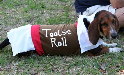 File:Tootsie-Rolldog.jpg