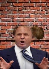 File:Trump wall.jpg
