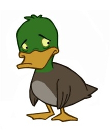 File:Sad duck.jpg