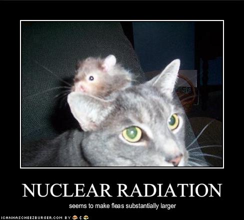 File:NuclearRadiation.jpg