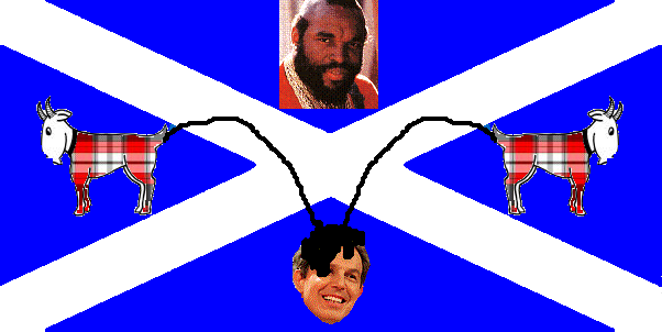 File:Scottish flag.png