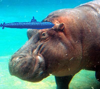 File:Hippo fat.jpg