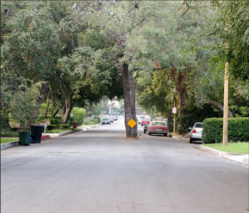 File:Tree in middle of a street.png