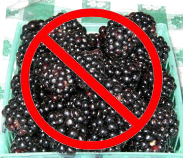 File:Blackberries1.jpg