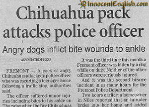 File:Funny-headline-chihuahua-pack-attacks-cop!.jpg