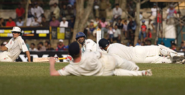 File:Relaxed cricket.jpg