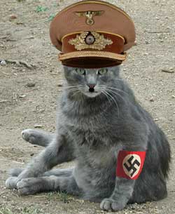 File:HitlerCat.jpg