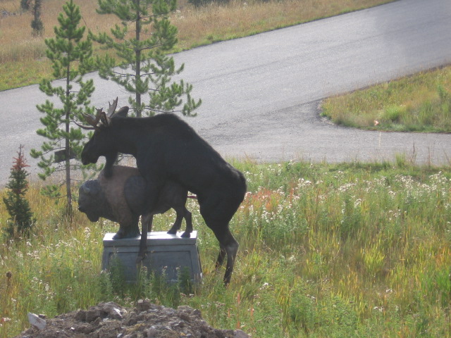 File:Moose Humping a Statue.jpg