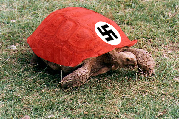 File:Nazi-turtle.jpg