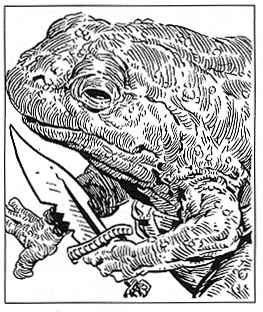 File:Toad with Sword.jpg