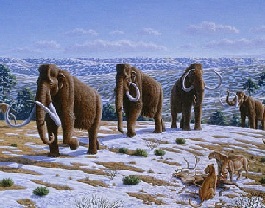 File:Mammoths migrate.jpg
