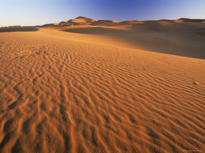 File:Dunes-in-erg-chebbi-sand-sea-sahara-desert-near-merzouga-morocco-north-africa-africa-posters.jpg