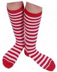 File:Socks christmas.jpg
