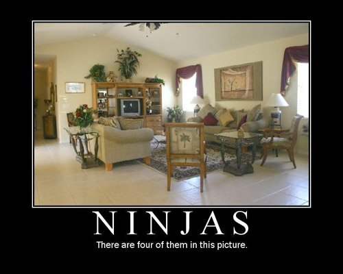 File:Ninjass.jpg