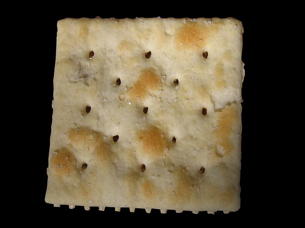 File:Cracker.snack.bread.jpg