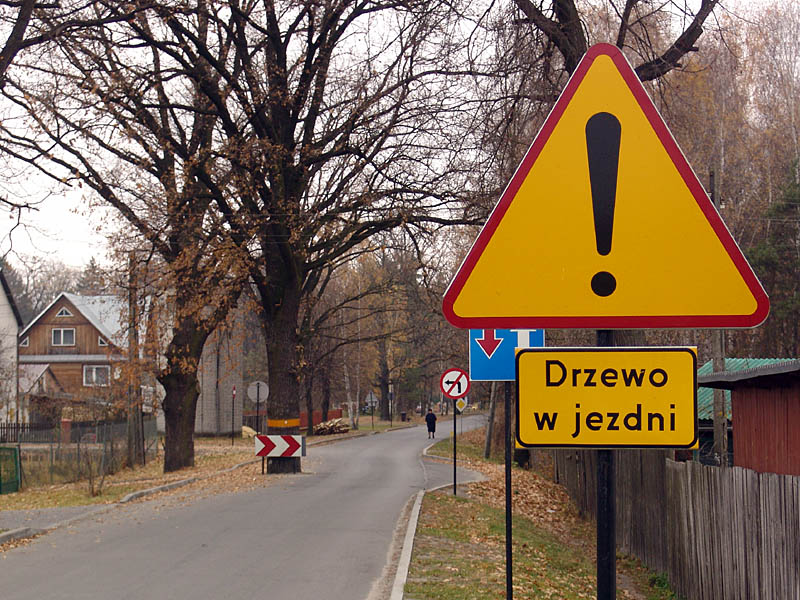 File:Polskie drogi.jpg