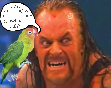 File:Undertaker red mad and Lovebird caption.png