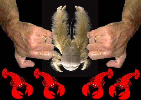 File:Lobsterass.jpg