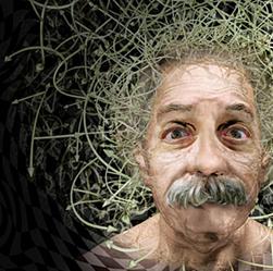 File:Ingenious brain of Albert Einstein.jpg