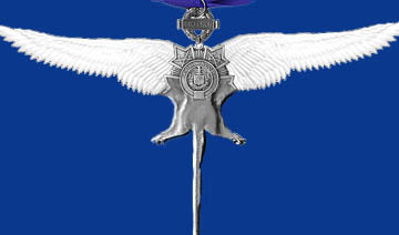 File:Hmrfra-medal.jpg