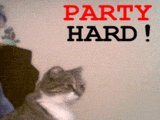 File:Party Hard.gif