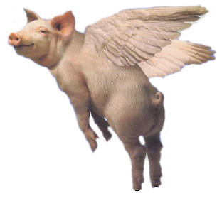 File:Flying Pig.jpg