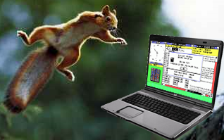 File:SquirrelAltF4.png