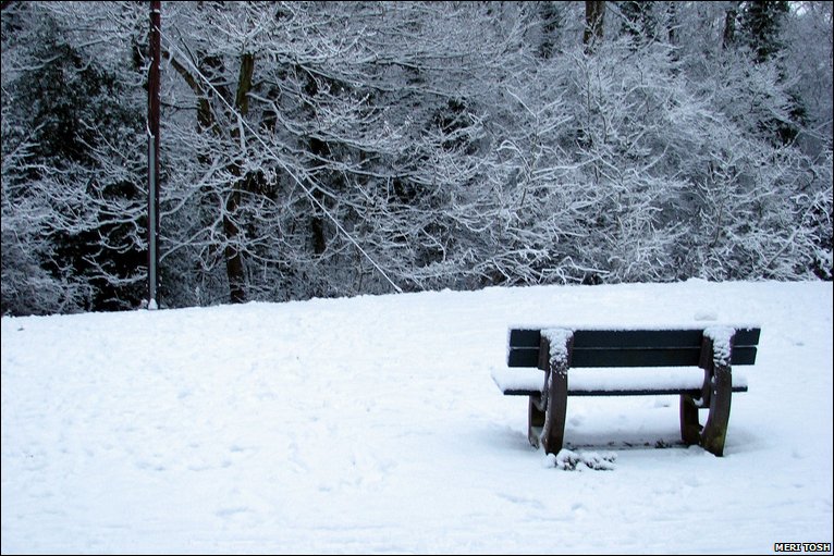 File:Bench snow meri.jpg