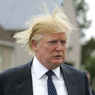 File:Donald Trump hair.jpg