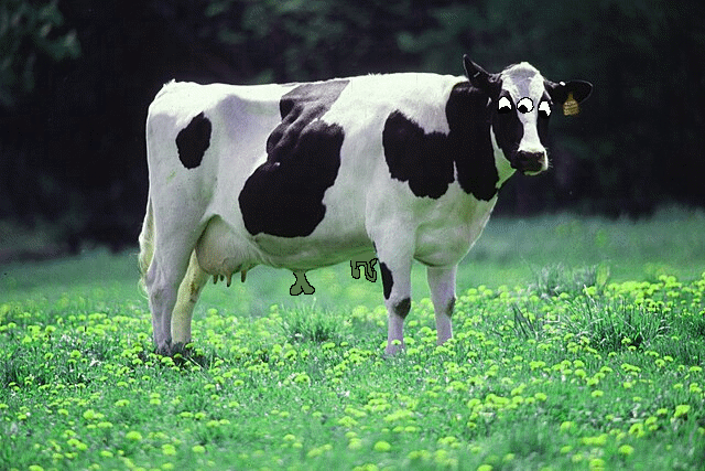 File:Very strange cow.png