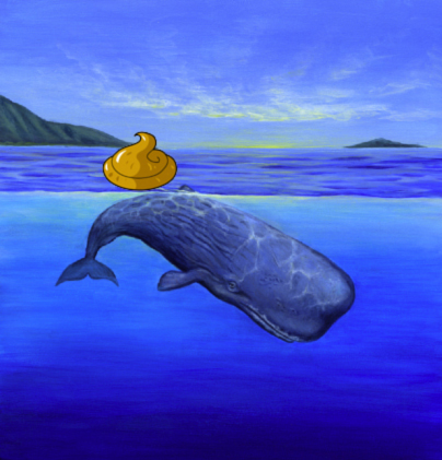 File:Whale-poops.jpg