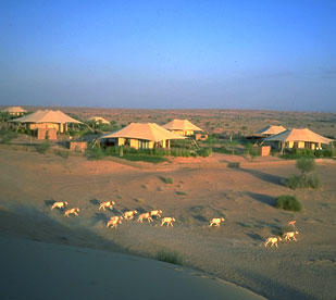 File:Desert-resort.jpg