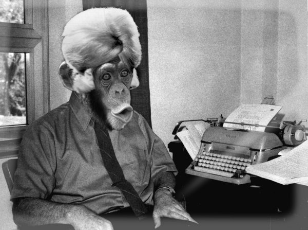 File:Chimp with typewriter.jpg