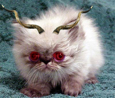 File:Cat With Horns.jpg