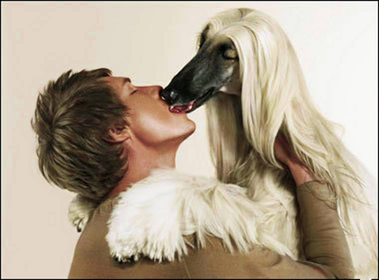 File:Kissing-dog-1.jpg