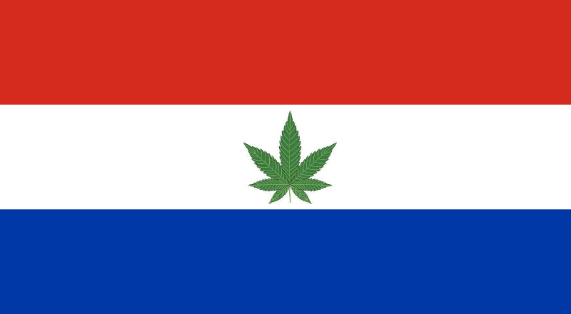 File:The REAL flag of paraguay.png