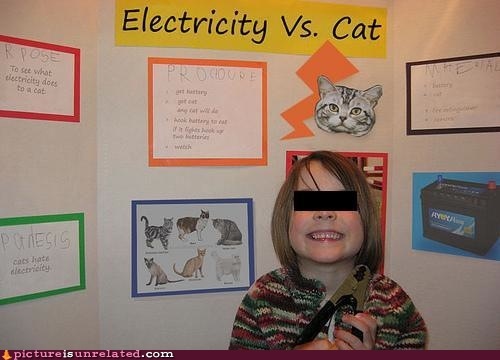 File:CatVsElectricity-P.jpg
