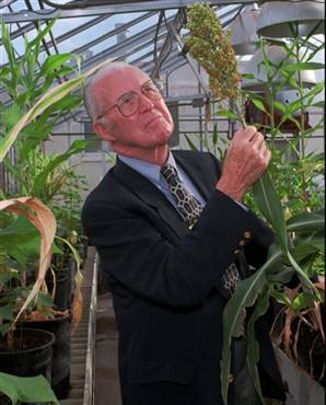 File:Borlaug1.jpg