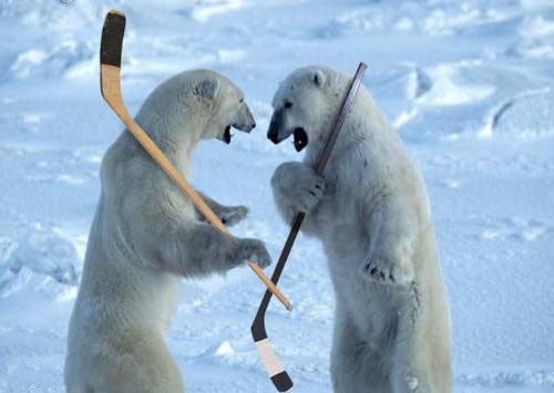 File:PolarBearsHockey.jpg