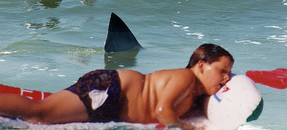 File:Shark searches piggy kid.jpg
