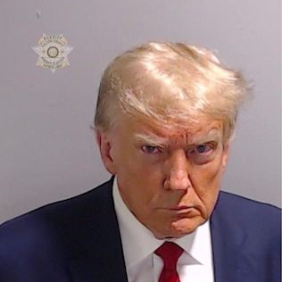 File:Donald Trump mug shot.jpg