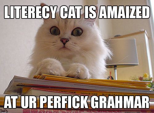 File:Literecy-cat.jpg