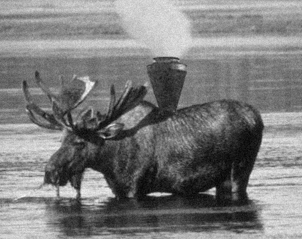 File:Steam powered moose.jpg