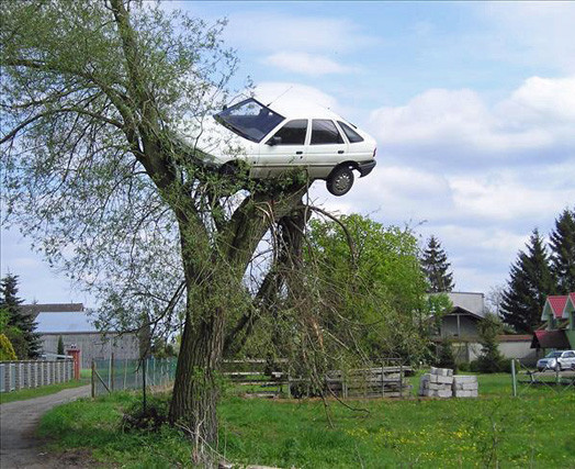 File:Car-in-a-tree-1.jpg