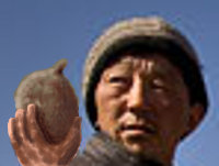 File:Mongolian.jpg