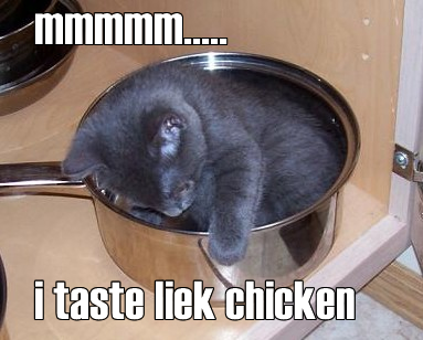 File:Chickencat.jpg