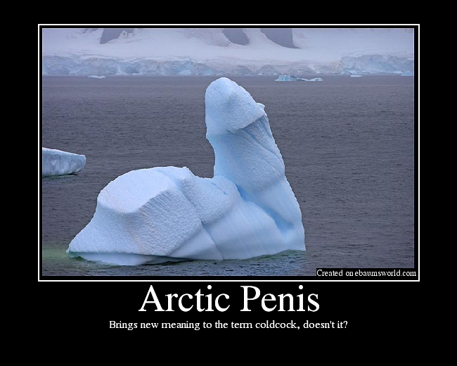 File:Arctic penis.png