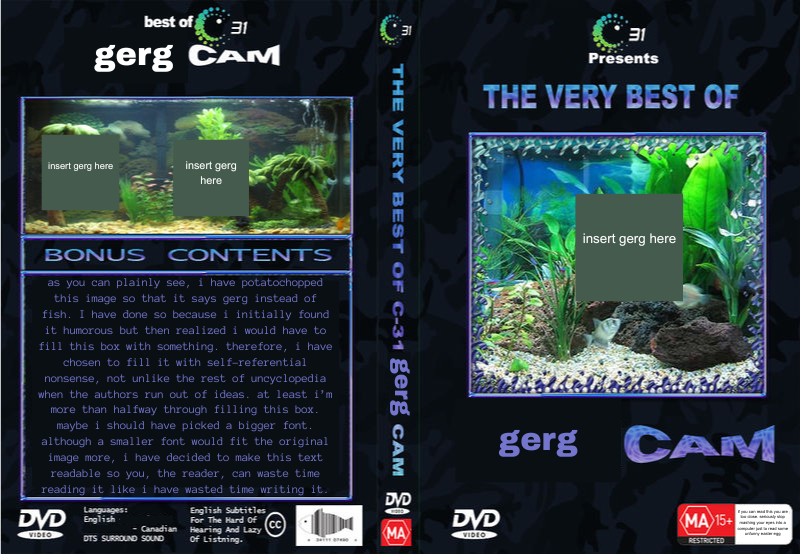 File:Channel 31 gerg Cam.png