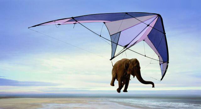 File:Flying elephant.jpg